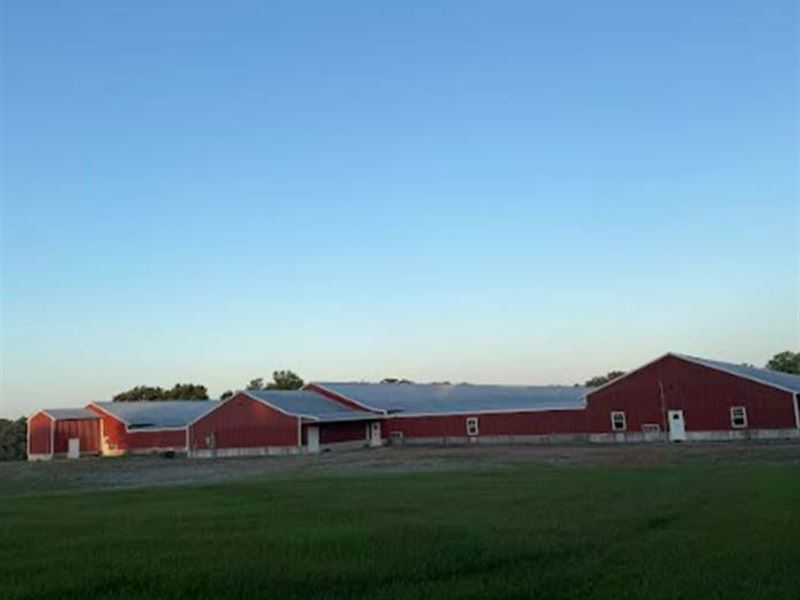 Arkansas Breeder Farm, Very Nice : Clarksville : Johnson County : Arkansas