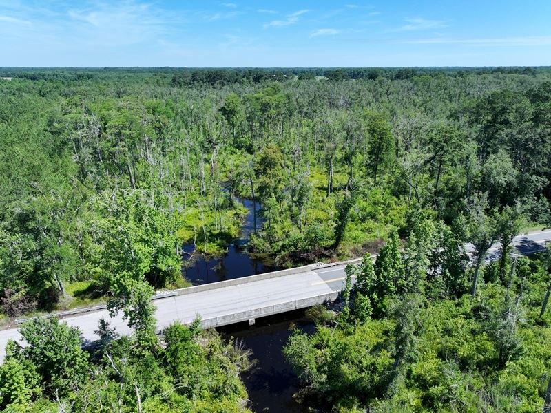 Hunting & Recreational Land : Parkton : Cumberland County : North Carolina