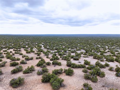2.5 Acres in Az, Freedom is Yours : Sanders : Apache County : Arizona