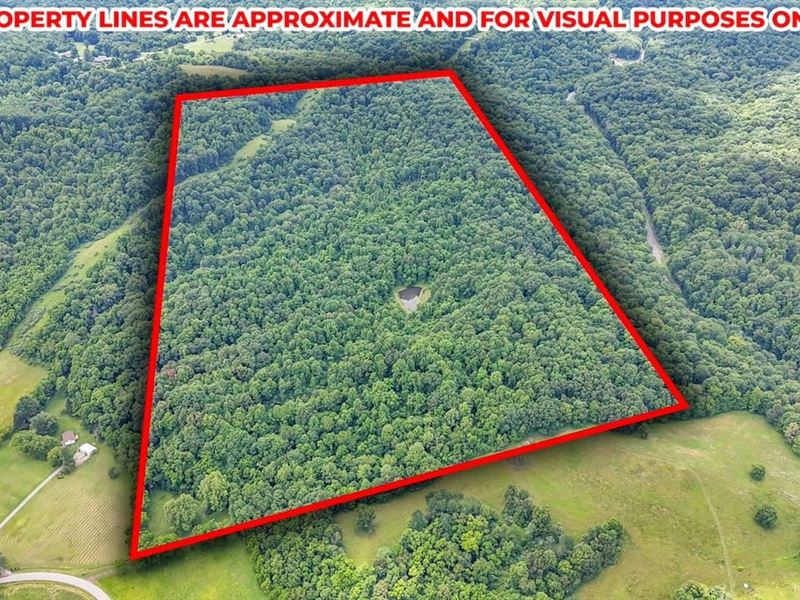 Mush Run Rd, 81 Acres : Athens : Athens County : Ohio