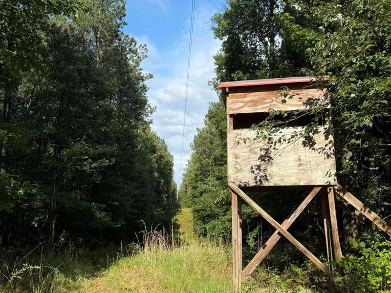 50 Acres of Land for Sale in McCool : McCool : Attala County : Mississippi