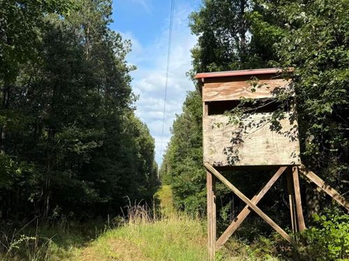 50 Acres of Land For Sale in McCool : McCool : Attala County : Mississippi