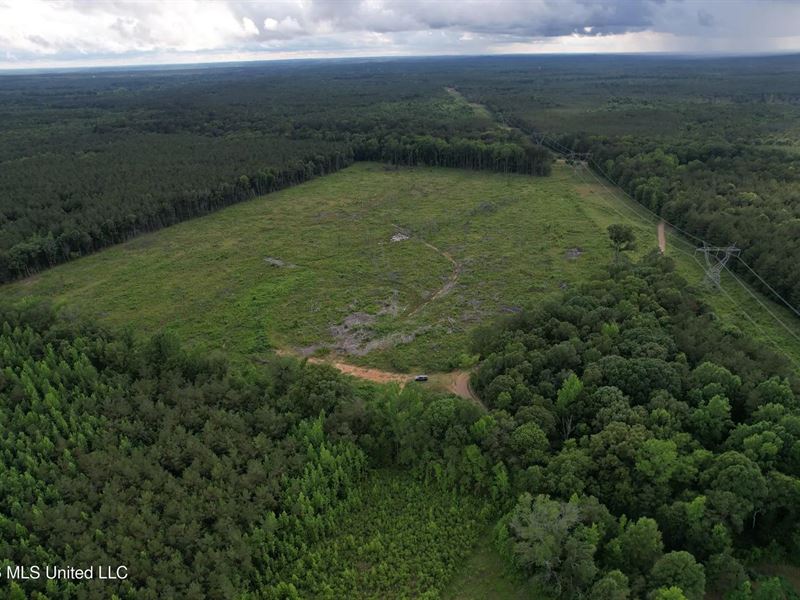 51.5 Acres of Land for Sale in Weir : Weir : Choctaw County : Mississippi