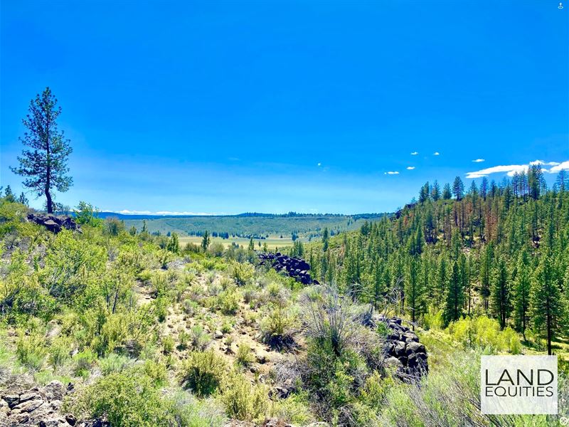 Amazing Views Near National Forest : Beatty : Klamath County : Oregon