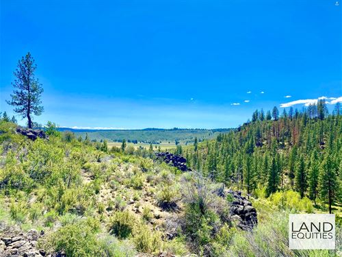 Amazing Views Near National Forest : Beatty : Klamath County : Oregon