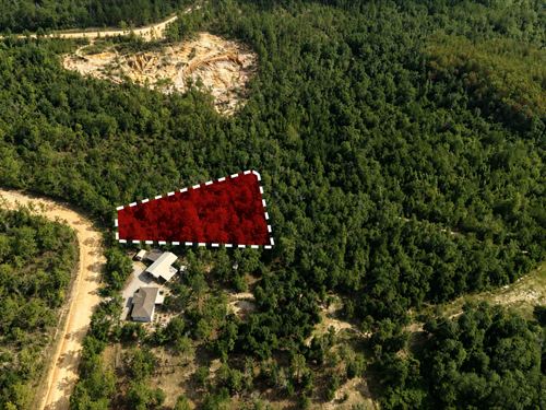 Close to Florida Caverns State Park : Marianna : Jackson County : Florida