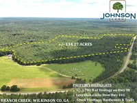 Branch Creek : Irwinton : Wilkinson County : Georgia