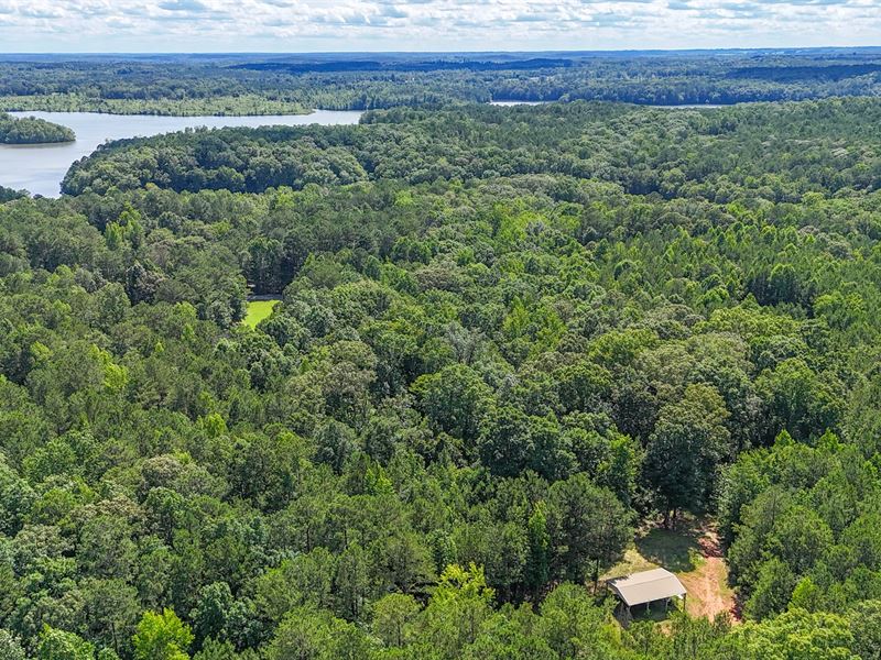 40 Acres Near West Point Lake, Tu : Lagrange : Troup County : Georgia