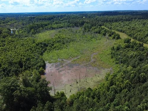 Green Farms Recreational Tract : Newberry : South Carolina