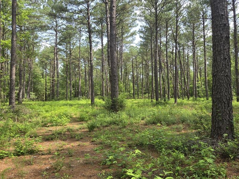 Colby Circle : Dublin : Laurens County : Georgia