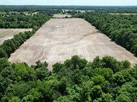 Pataskala Ohio Land Auction : Pataskala : Licking County : Ohio