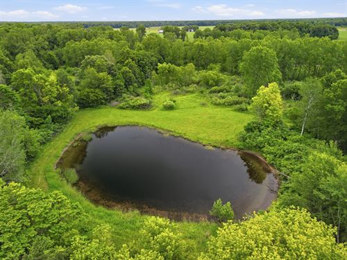 Gratiot County, 80 Acres : Ashley : Gratiot County : Michigan