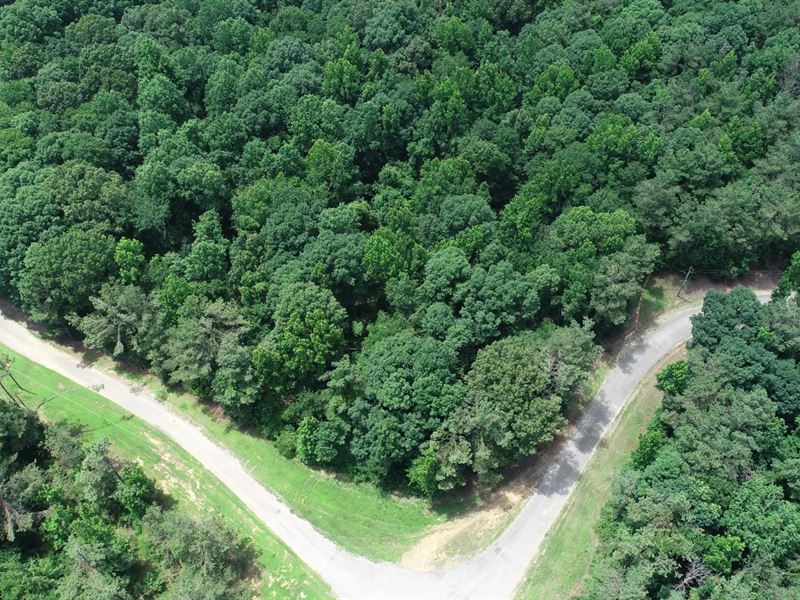 10 Acres in Grenada County, MS : Grenada : Grenada County : Mississippi
