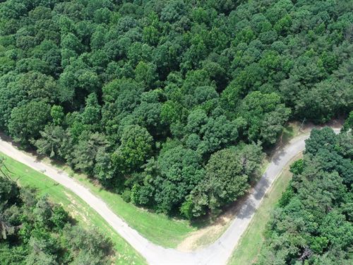 10 Acres in Grenada County, MS : Grenada : Mississippi