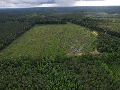 51.5 Acres in Choctaw County, MS : Weir : Choctaw County : Mississippi