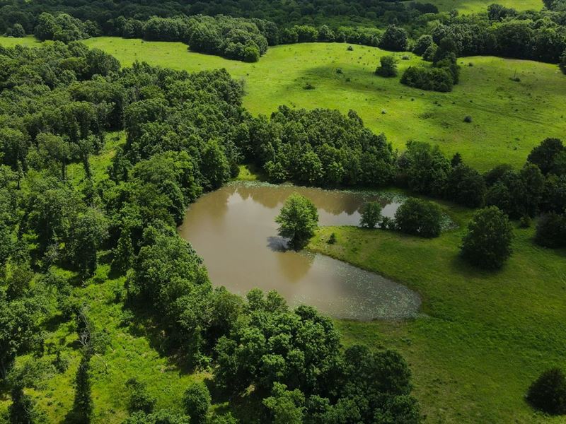 301 Acres in Monroe County, MO : Madison : Monroe County : Mississippi