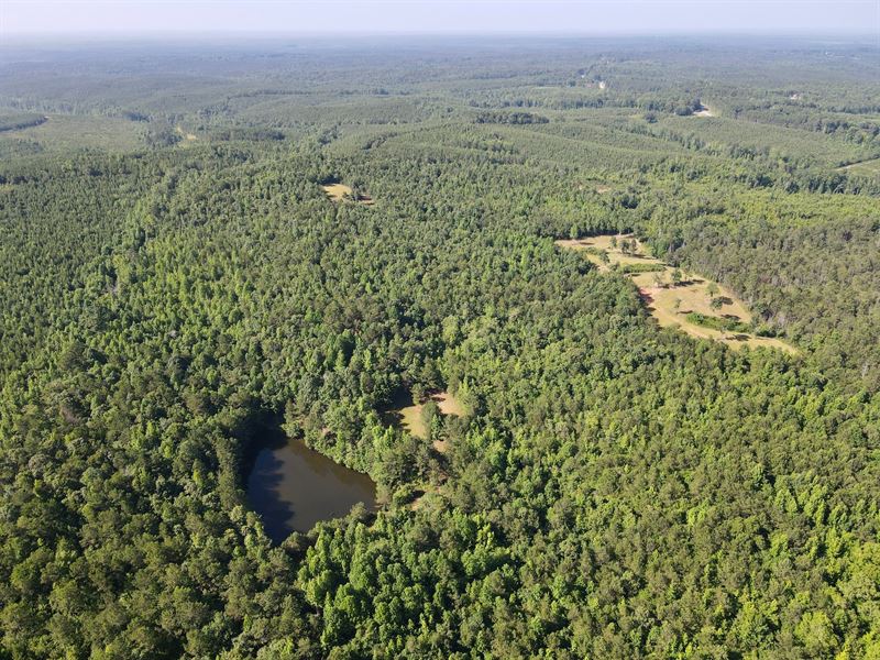 Ridge Road Hunting & Recreation Tra : Cragford : Clay County : Alabama