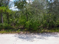 Adjoining Lots Near Suwannee River : Live Oak : Suwannee County : Florida