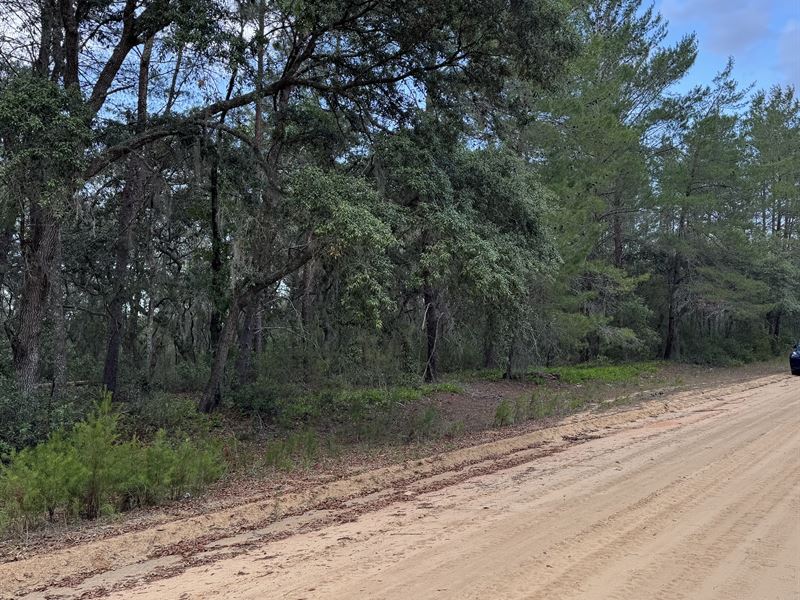 Build-Ready Lot in Interlachen Lake : Interlachen : Putnam County : Florida