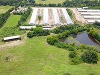 8 House Broiler Farm : Waldron : Scott County : Arkansas