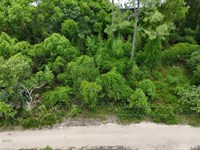 Live Near Lake Ocklawaha : Fort Mc Coy : Marion County : Florida