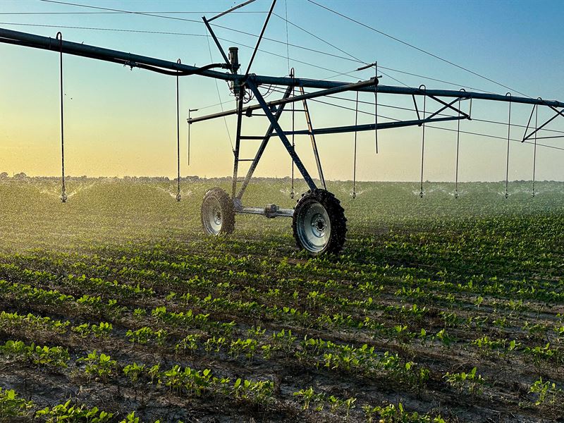 East Texas Farm : Clarksville : Red River County : Texas