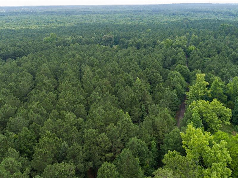 421 Timber Trail : Pittsburg : Camp County : Texas