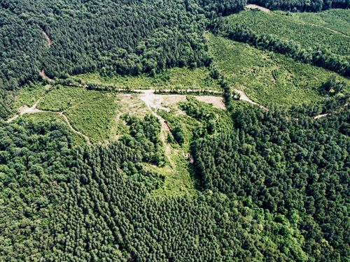 2.17 Ac Jasper Co MS, No Zoning : Paulding : Jasper County : Mississippi