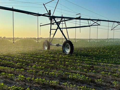 1,229 Acre Irrigated Farm : Clarksville : Red River County : Texas