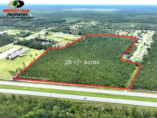 28 Acres Clinch County, GA : Homerville : Clinch County : Georgia