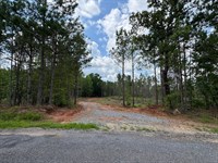 25.74 Acres, Parker Island Road : Equality : Coosa County : Alabama