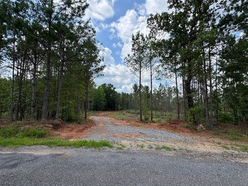25.74 Acres, Parker Island Road : Equality : Coosa County : Alabama