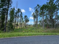 27.08 Acres on Parker Island Ro : Equality : Coosa County : Alabama