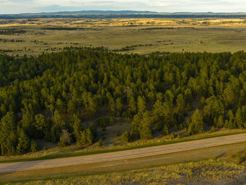 Pine Ridge Lots 13-16 : Moorcroft : Crook County : Wyoming