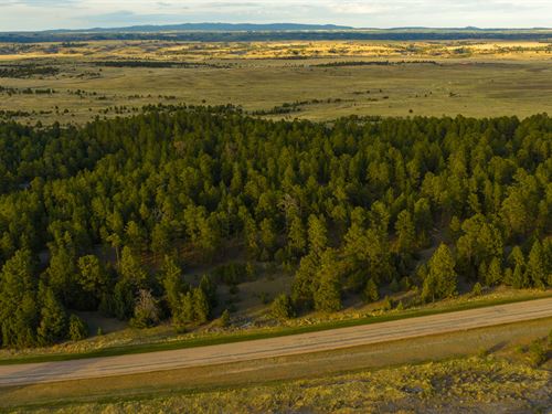 Pine Ridge Lots 13-16 : Moorcroft : Crook County : Wyoming