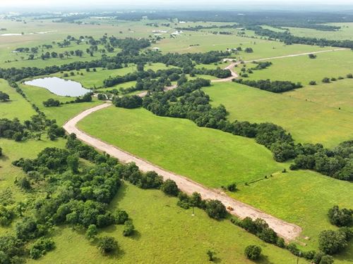 Baker Ridge 22 : Midway : Madison County : Texas