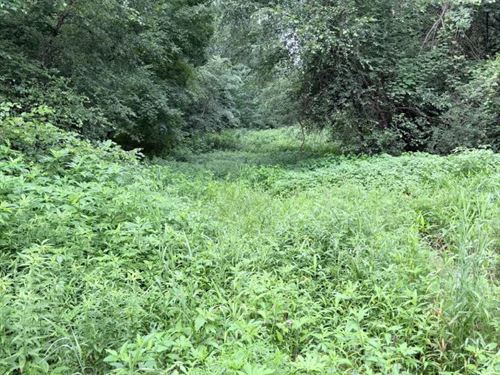 56 Acres in Van Buren County, AR : Bee Branch : Van Buren County : Arkansas