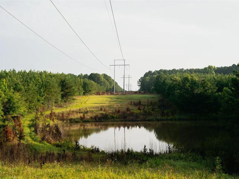 77 Acres in Neshoba County, MS : Philadelphia : Neshoba County : Mississippi