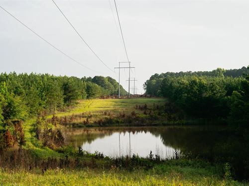 77 Acres in Neshoba County, MS : Philadelphia : Neshoba County : Mississippi