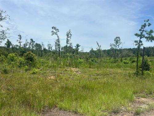 19.45 Acres in Caldwell Parish, LA : Kelly : Caldwell Parish : Louisiana