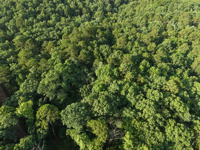 3.02 Acres in Polk County, AR : Mena : Polk County : Arkansas