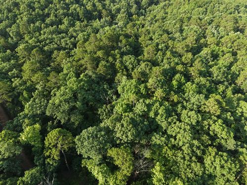 3.02 Acres in Polk County, AR : Mena : Polk County : Arkansas