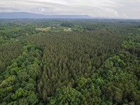 54 Acres, Calhoun, Tennessee, Mcm : Calhoun : McMinn County : Tennessee