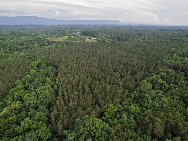 54 Acres, Calhoun, Tennessee, Mcm : Calhoun : McMinn County : Tennessee