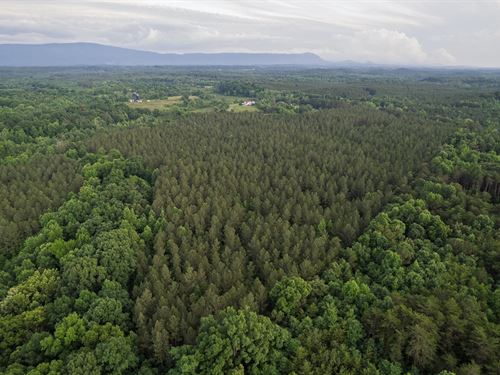 54 Acres, Calhoun, Tennessee, Mcm : Calhoun : McMinn County : Tennessee