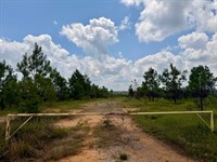 Lamar County 99 : Vernon : Lamar County : Alabama