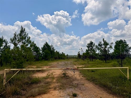 Lamar County 99 : Vernon : Lamar County : Alabama