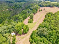 10 Acres With Beautiful Homesites : Ashland : Clay County : Alabama