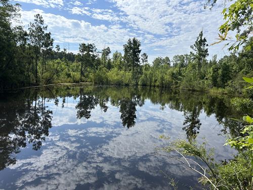 Starlington Road Tract : Georgiana : Butler County : Alabama