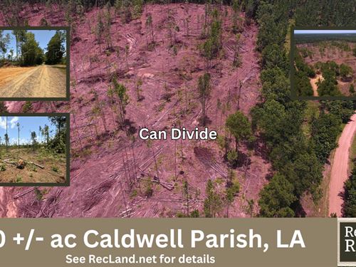 80 ac, Clearcut for Rural Homes : Kelly : Caldwell Parish : Louisiana